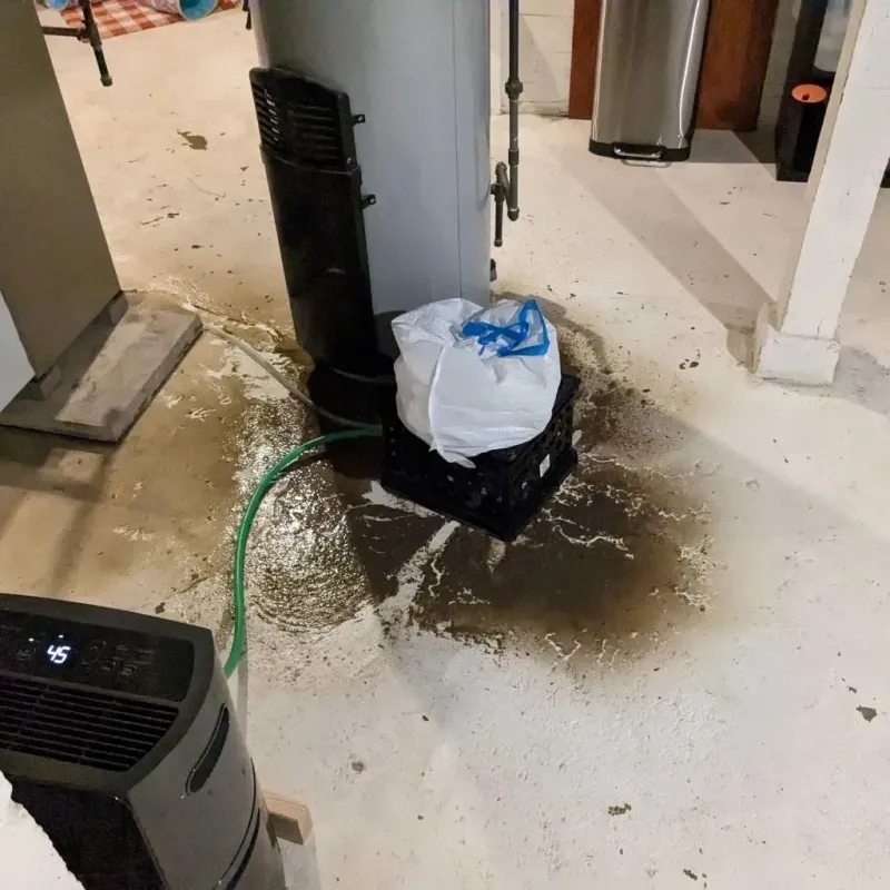 Sewage Backup Cleanup Service in Lost Hills, CA